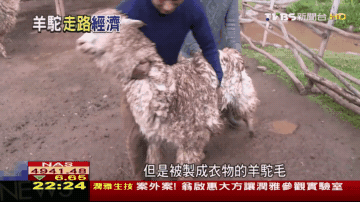 1540781156242670.gif