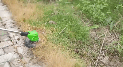1599631511411939.gif