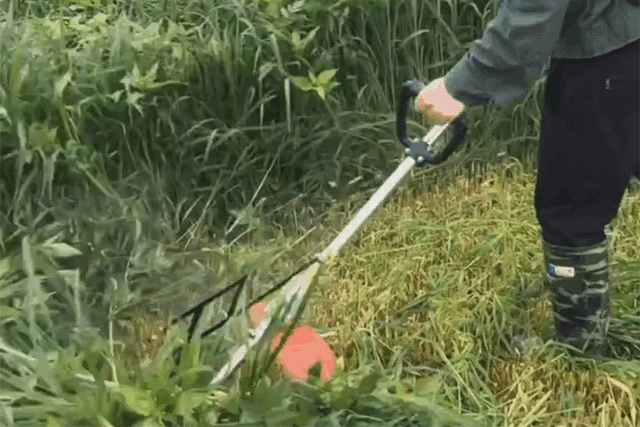 1599631761933420.gif