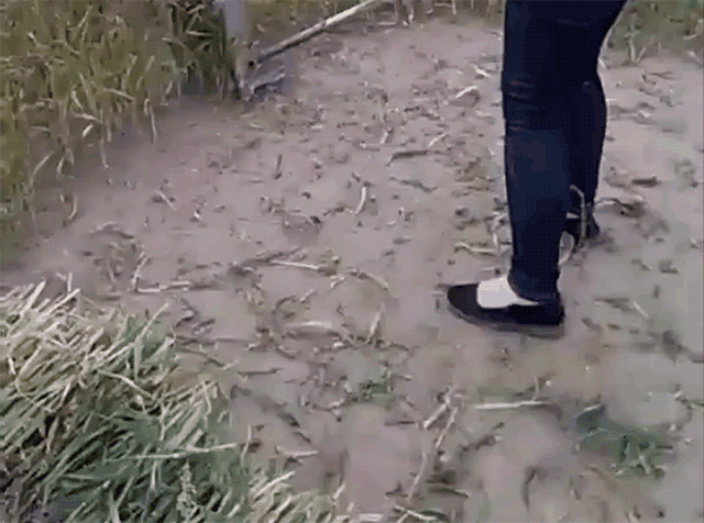 1599631971343550.gif