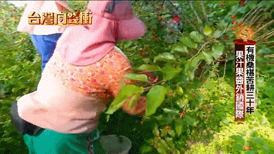 0.gif