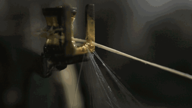 2.gif