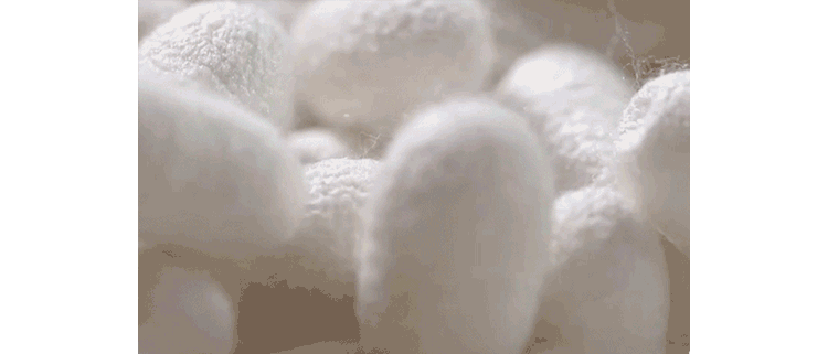 1609752264574190.gif