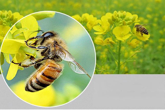 シンプルでおしゃれなデザインの折り畳み式老眼鏡