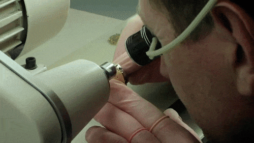 1614047025728118.gif