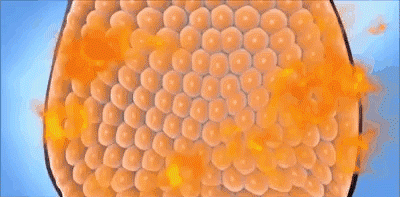 2.gif