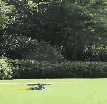 5.gif