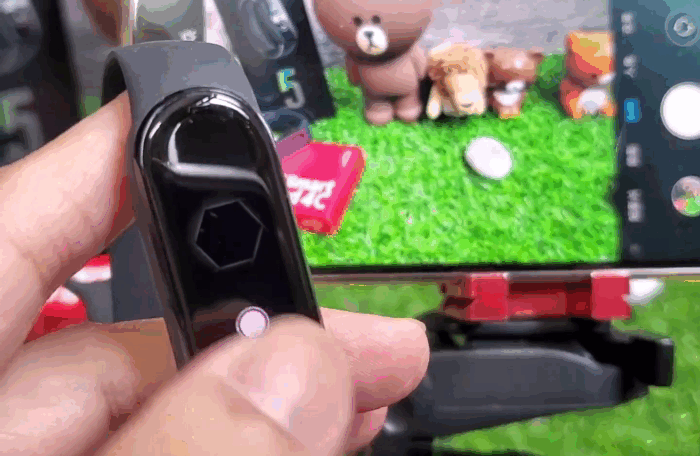 31.gif
