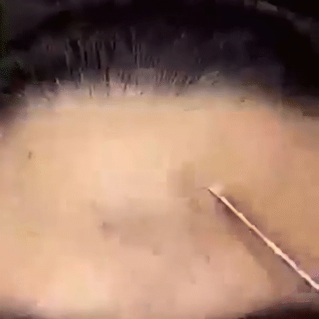 1619438878377255.gif