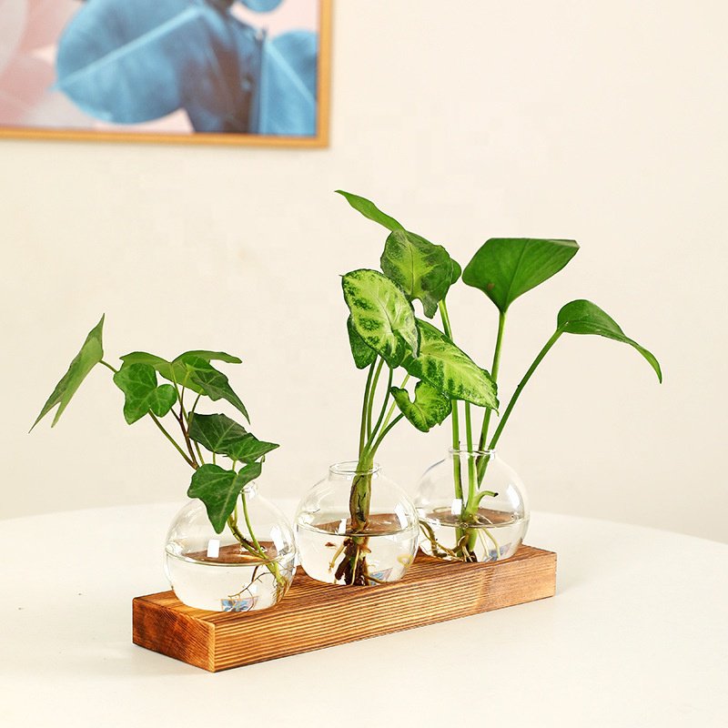 Glass light bulb vase