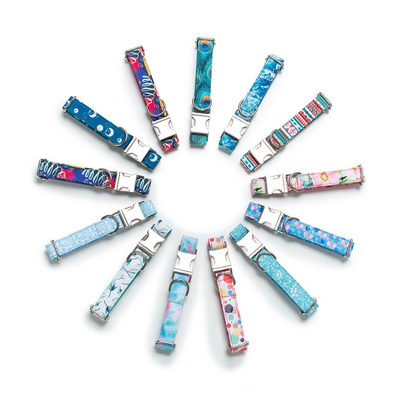 ชุดสายจูงและปลอกคอสำหรับสุนัข