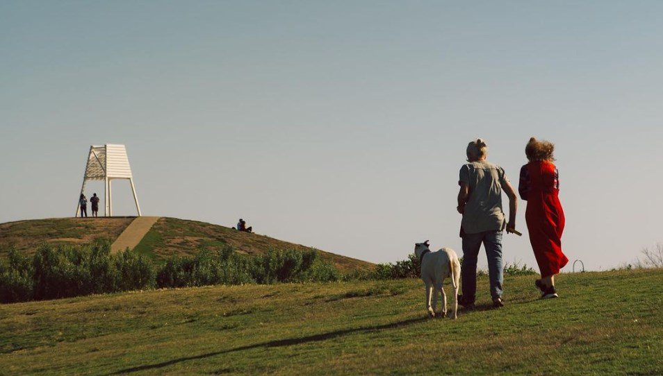 Online shopping MALL