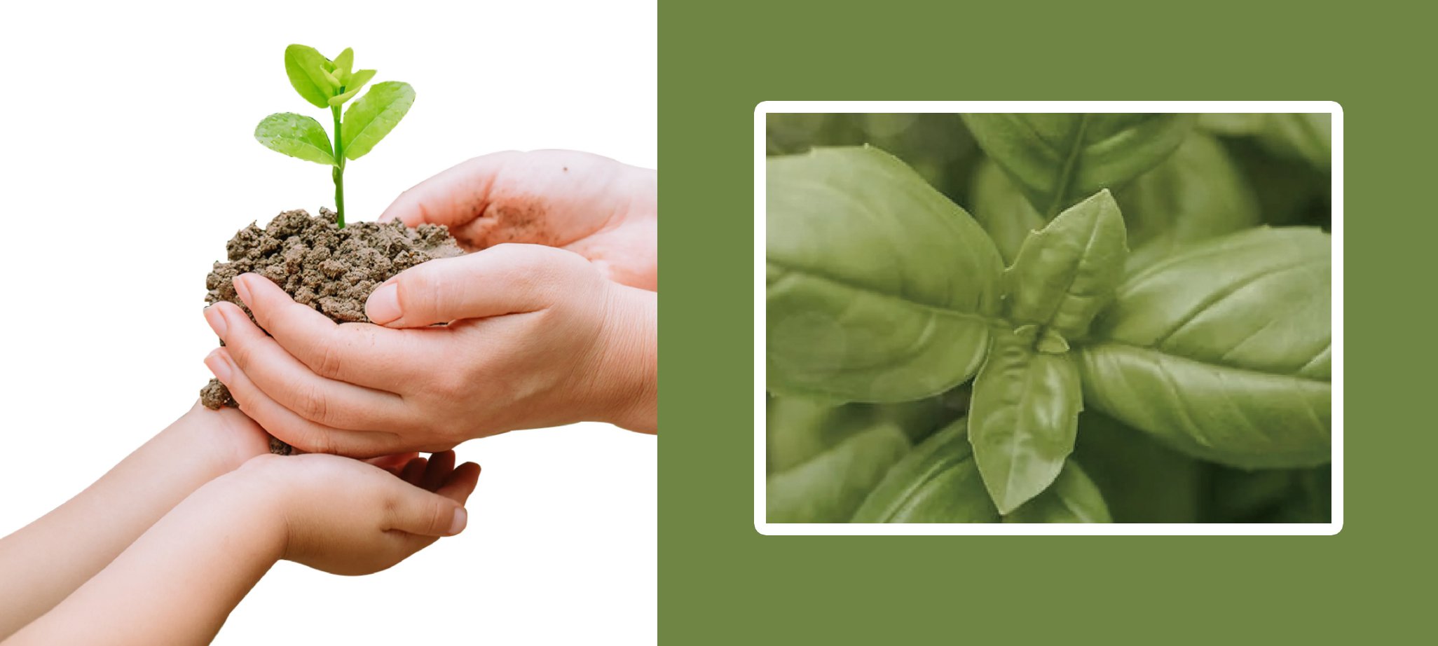 オンラインショップ