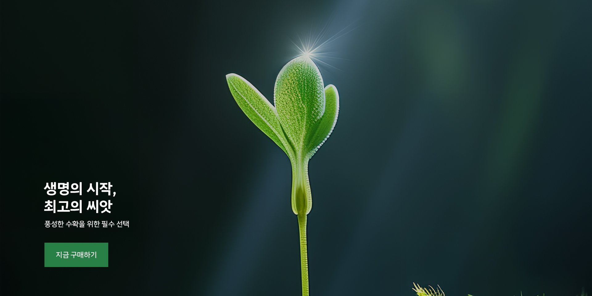 aimmdd 온라인쇼핑센터