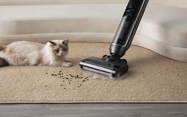 ainnmy オンラインストア