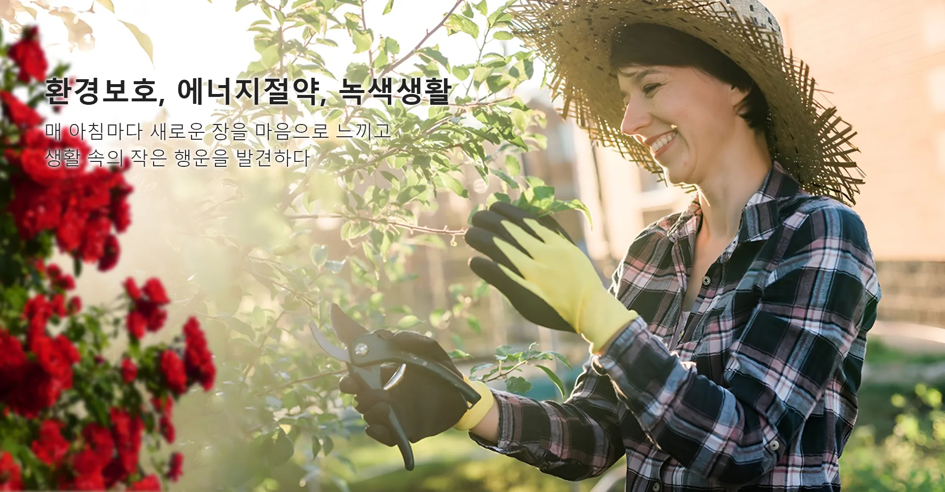 Online shopping MALL