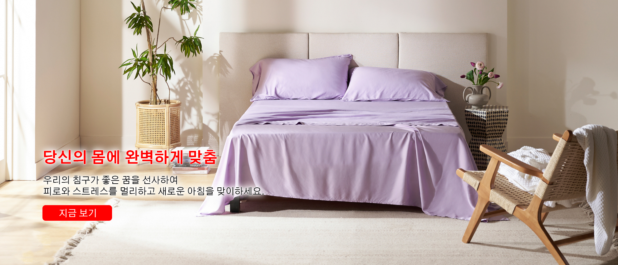 dealseoull  한국 쇼핑몰