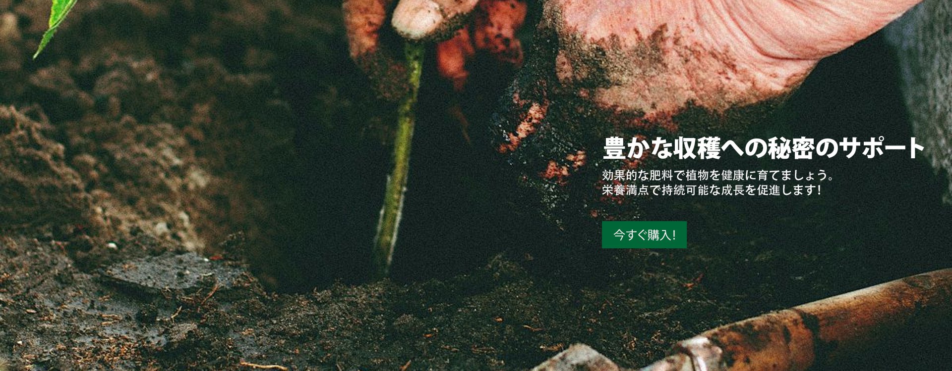 オンラインストア