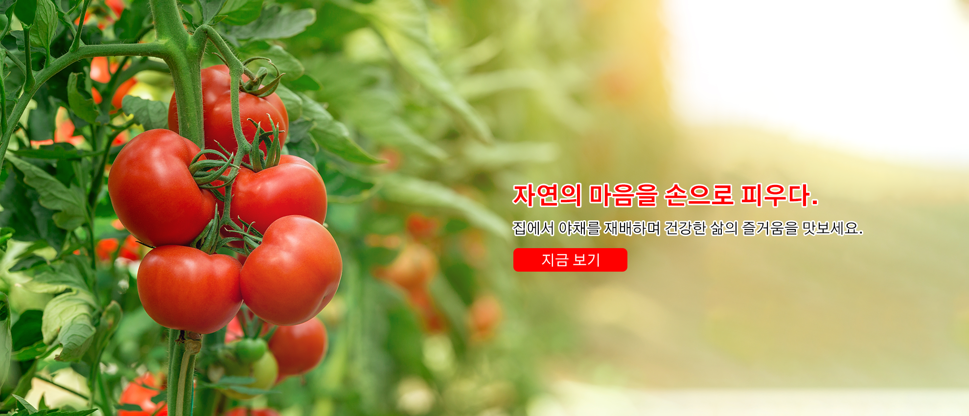 키키 한국 쇼핑몰