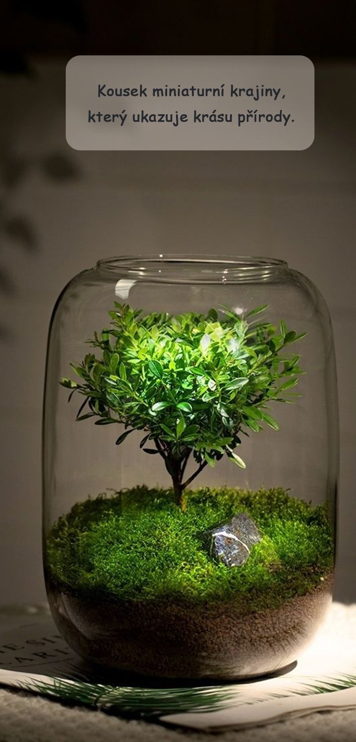 Špičkové příslušenství pro vaše auto – kvalitní autodíly online,Vše pro vaši zahradu – nářadí a potřeby pro zahradníky,Praktické potřeby pro každodenní život – vše na jednom místě