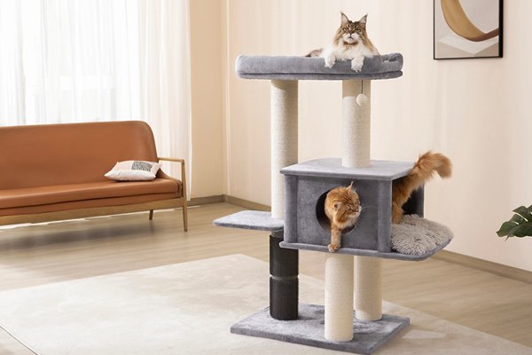 オンラインストア