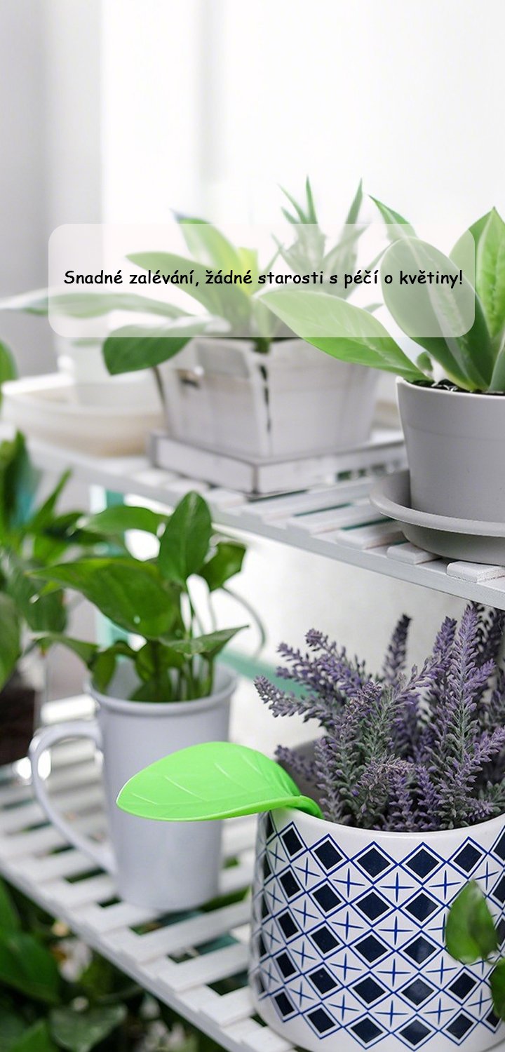 Top výběr: Nejprodávanější produkty online za skvělé ceny,Praktické potřeby pro každý den – pohodlný nákup online,Kvalitní nářadí pro zahradu – vše pro údržbu a péči