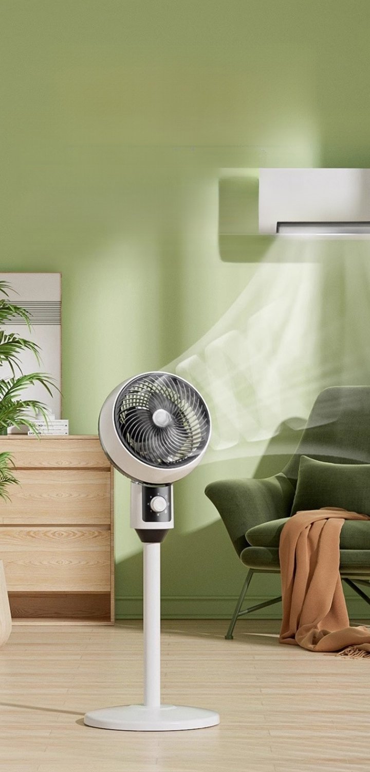 金狮-coucuykela- 多市场美国子站