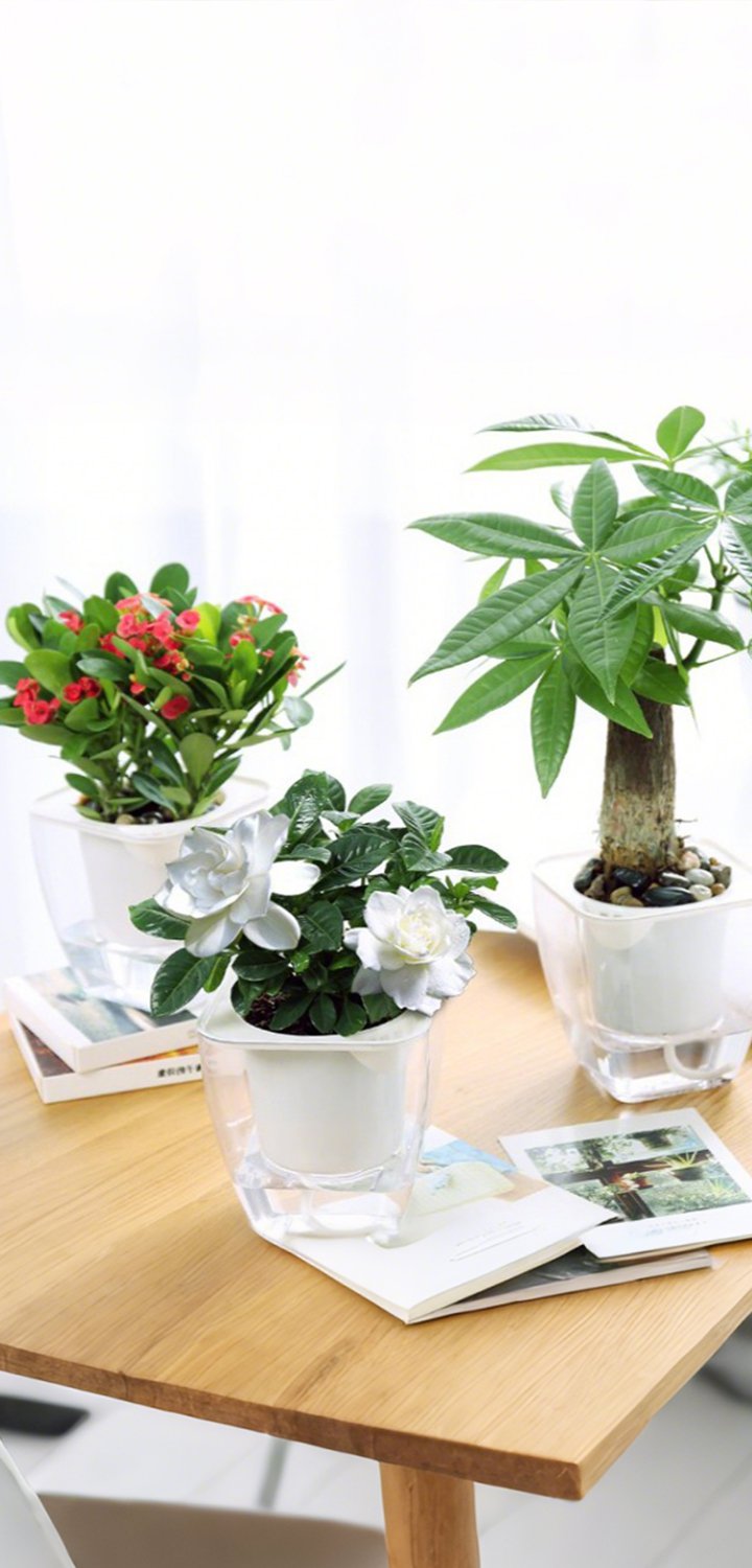 Kvalitní nářadí pro zahradníky – Široký výběr online,Profesionální železniční nářadí – Specializovaný obchod,Nejlepší tipy na obchody – Ověřené nabídky pro váš nákup