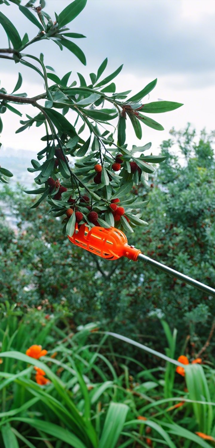 Špičkové vybavení pro vaši zahradu – Kvalitní nářadí a příslušenství online,Praktické produkty pro každodenní potřebu – Pohodlný online nákup,Moderní domácí spotřebiče pro snadnější život – Výhodné ceny a rychlé doručení