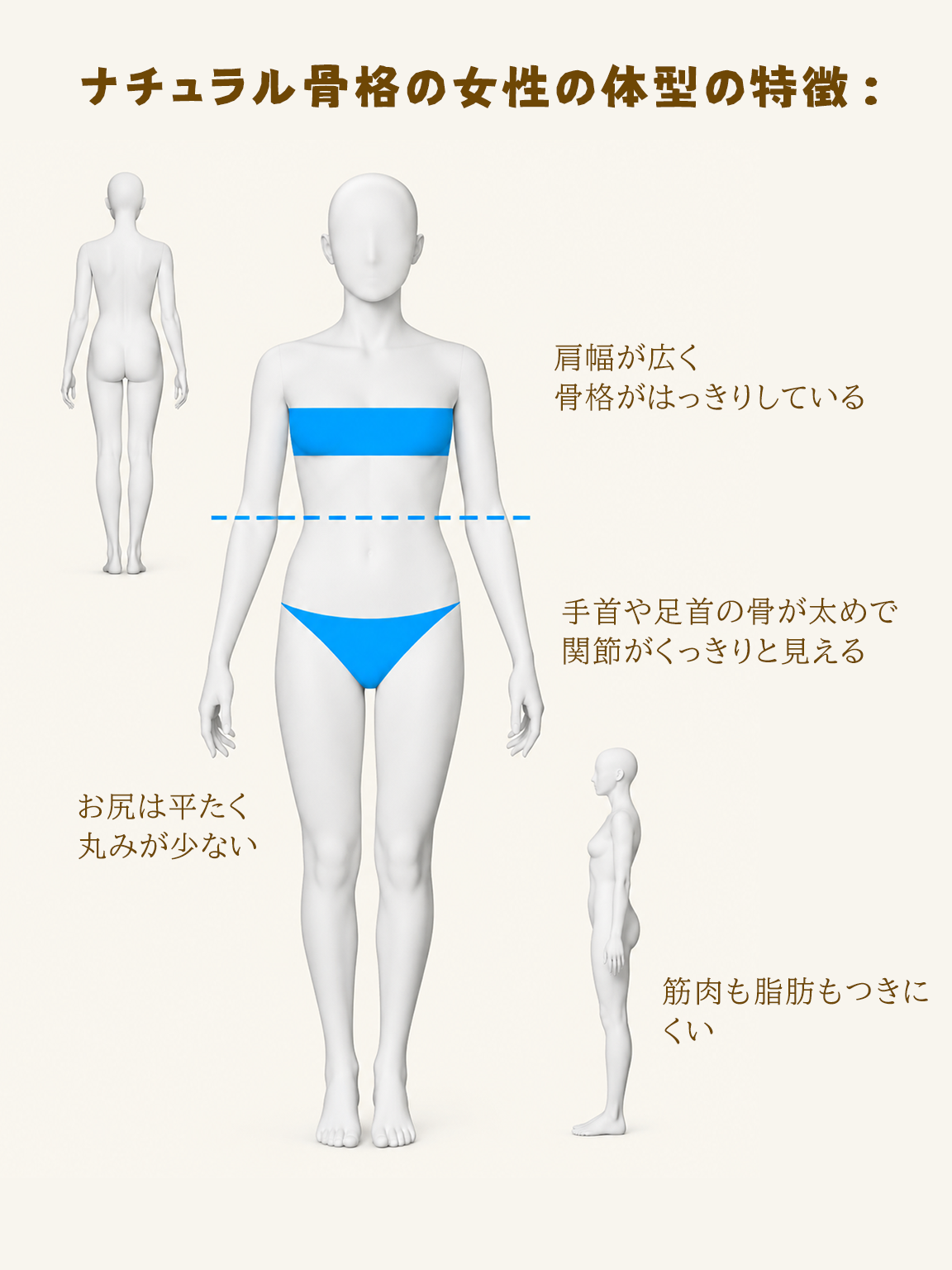 骨格ナチュラルのスタイル