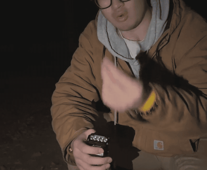 韩语_17.gif