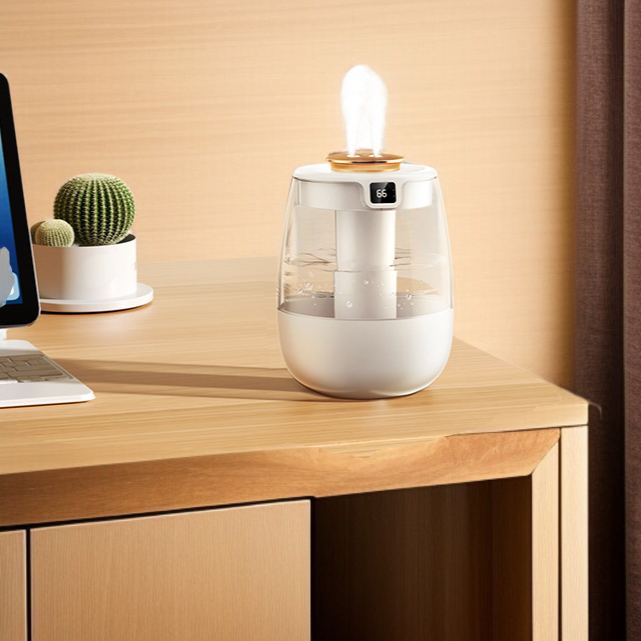 더블 스프레이 가정용 가습기 제품 사진