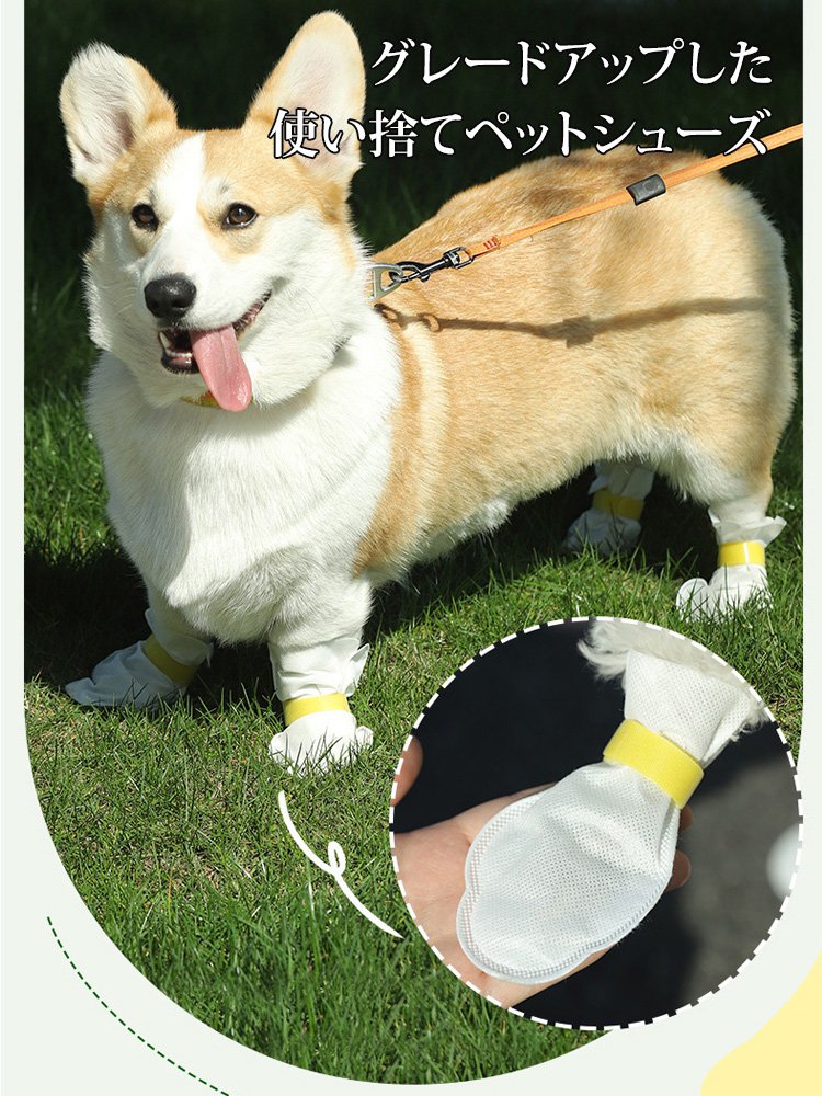 使い捨てペットシューズ