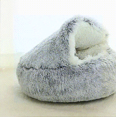 宠物窝_16.gif