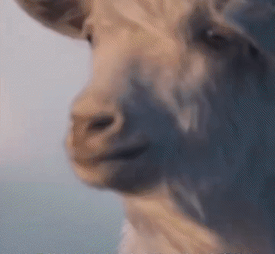 20230920_100600_145.gif
