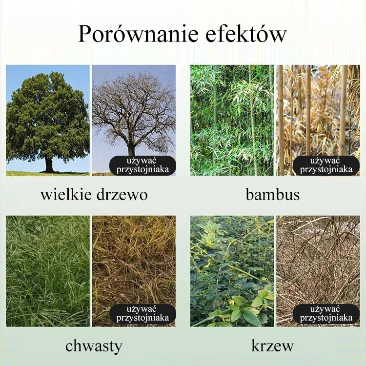 Mixed bambusowa siatka zgniły król korzeni