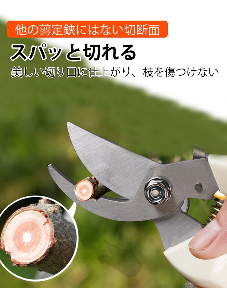 剪定バサミ