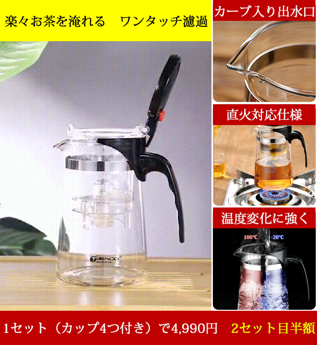 高ホウケイ酸ガラス製分離式ティーポット