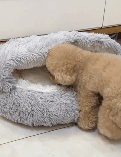 宠物窝_14.gif
