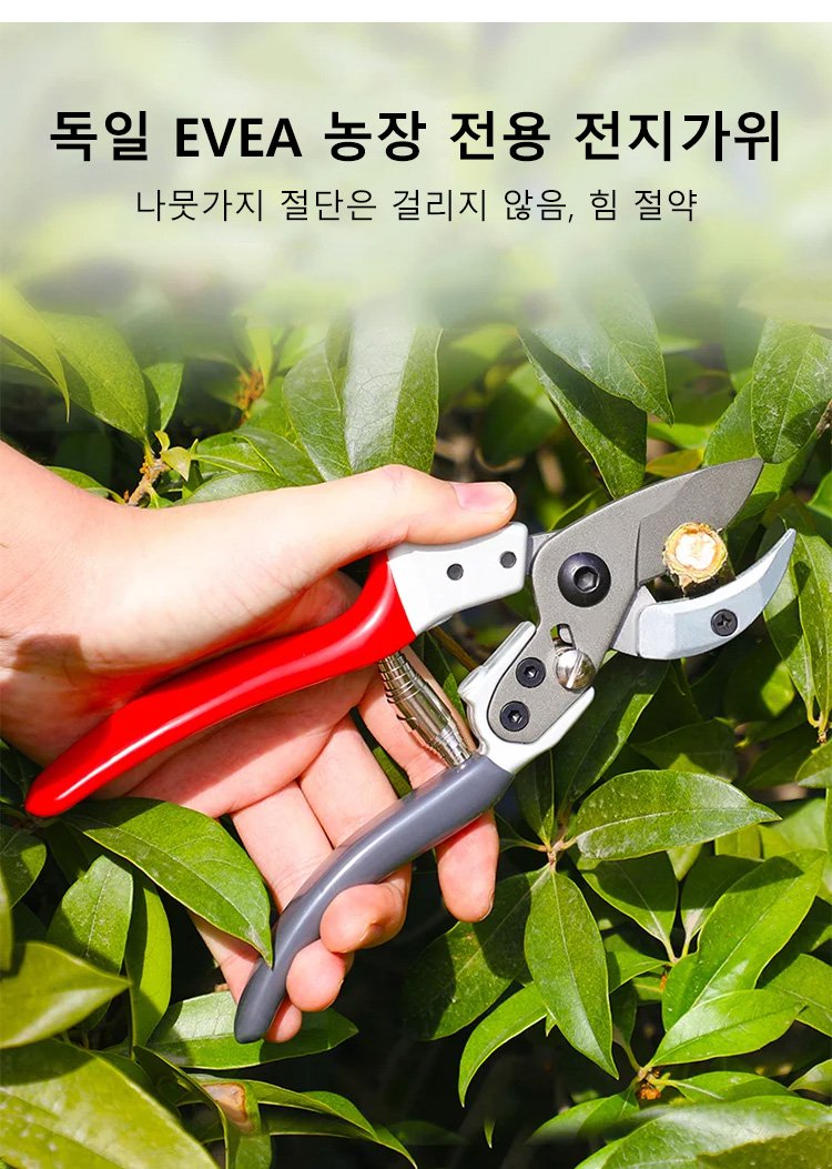 내구성 좋은 정원 전지가위 날
