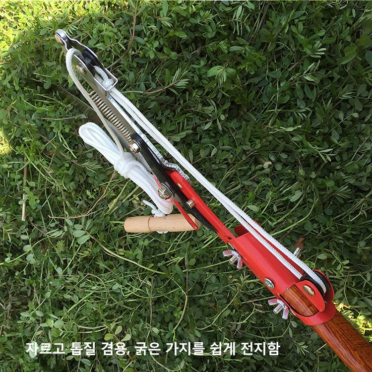 신축 전지가위
