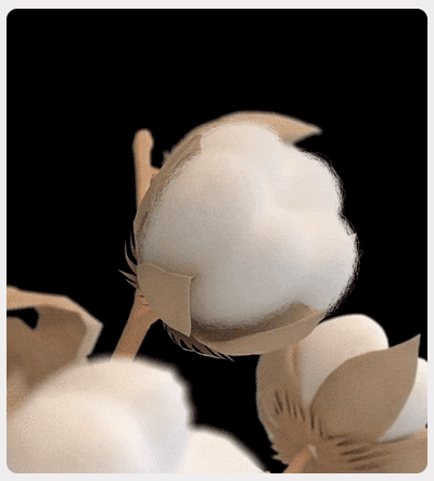 f03034c312b92755f30502b0180003dc.gif