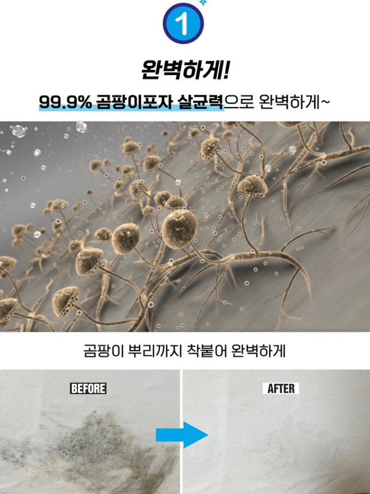 벽면 곰팡이 제거제