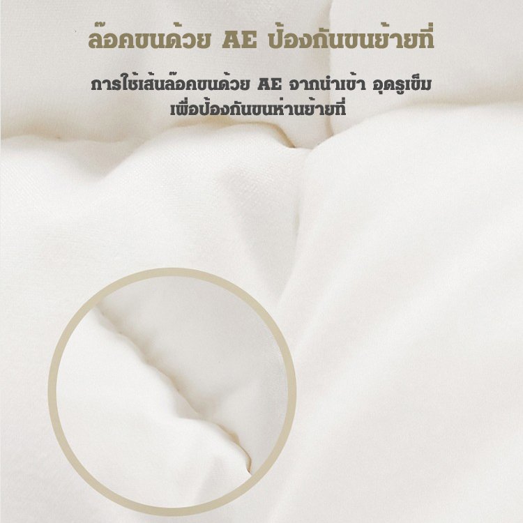 ผ้านวมขนห่านสีขาว 95%