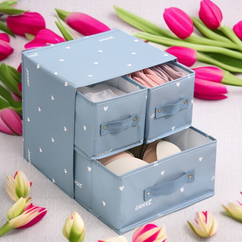 大型衣類収納ボックスで整理されたクローゼット