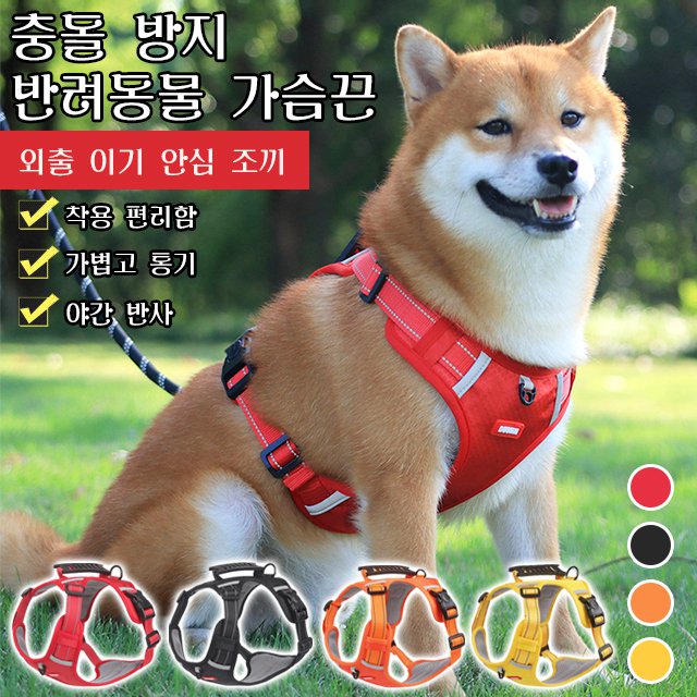 충돌 방지 반려동물 가슴끈 