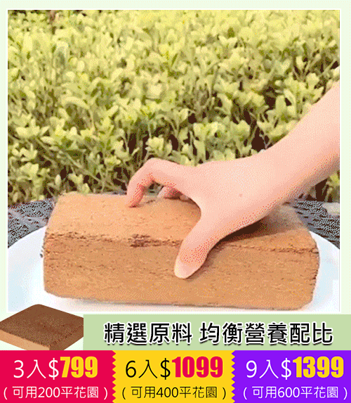 綠植營養土【有機天然椰磚】