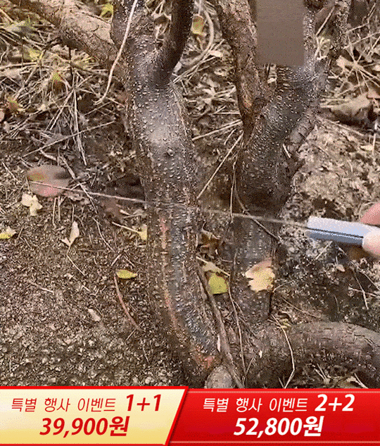 미니 목공용 톱