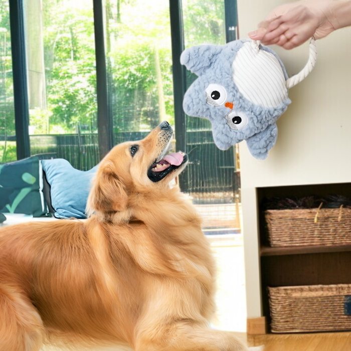 噛み応え抜群の犬用おもちゃ