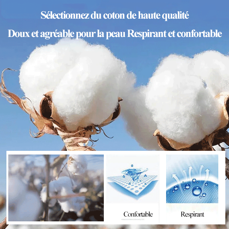 Chauve-souris citrouille de fête d'Halloween